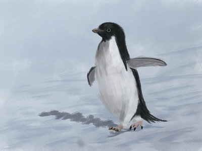 penguins - day 008