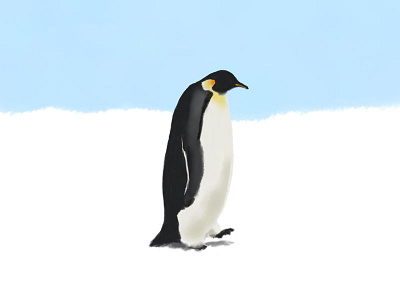 penguins - day 019