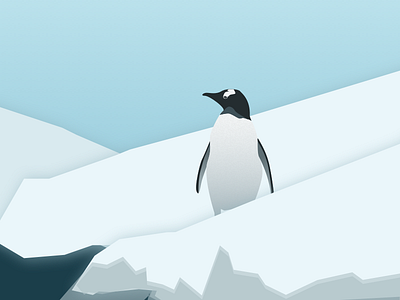 penguins - day 020