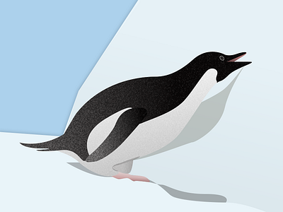 penguins - day 023