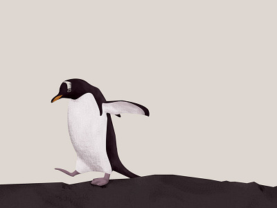 penguins - day 038