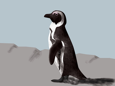penguins - day 044