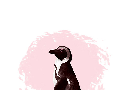 penguins - day 086 100dayproject 100daysofpenguins