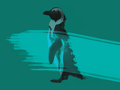 penguins - day 092 100dayproject 100daysofpenguins