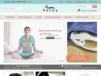Bucky Homepage Mockup homepage landing page web design