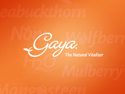 Gaya Logo branding graphic identity logo design