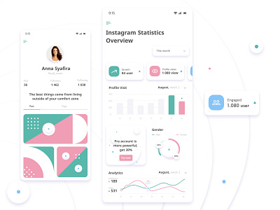 Instagram Statistics Overview