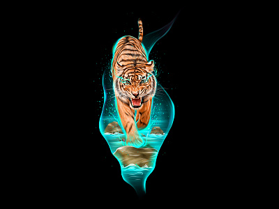 tiger design illustration illustrator