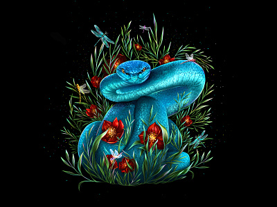snake design illustration illustrator