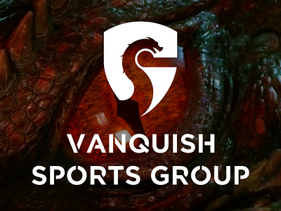 Vanquish Sports Group logo