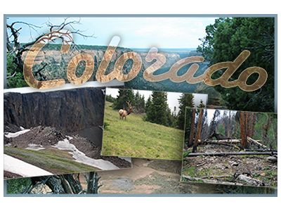 Colorado Postcard