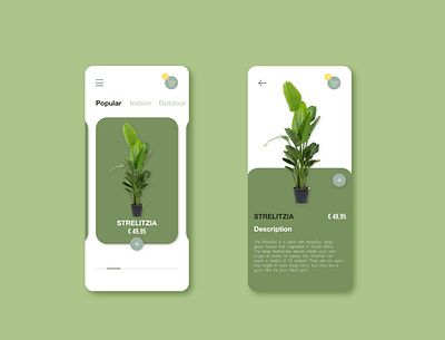UIUX | Plant app daily ui design e commerce graphic design mobile plant plant app plants shop ui ui ux ux