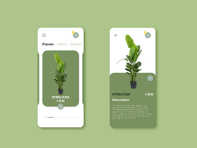 UIUX | Plant app