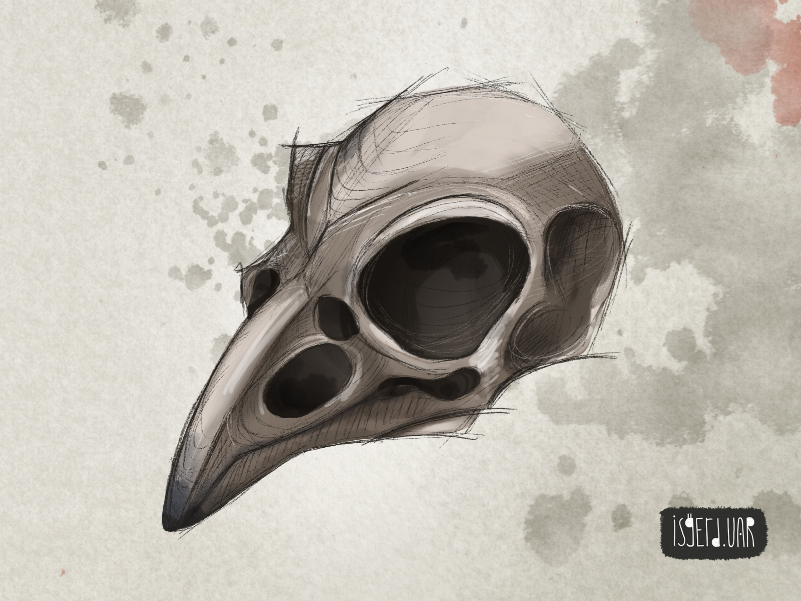 Buy Bird Painting Bird Art Skull Art Bird Skull Art Prints Online in India   Etsy