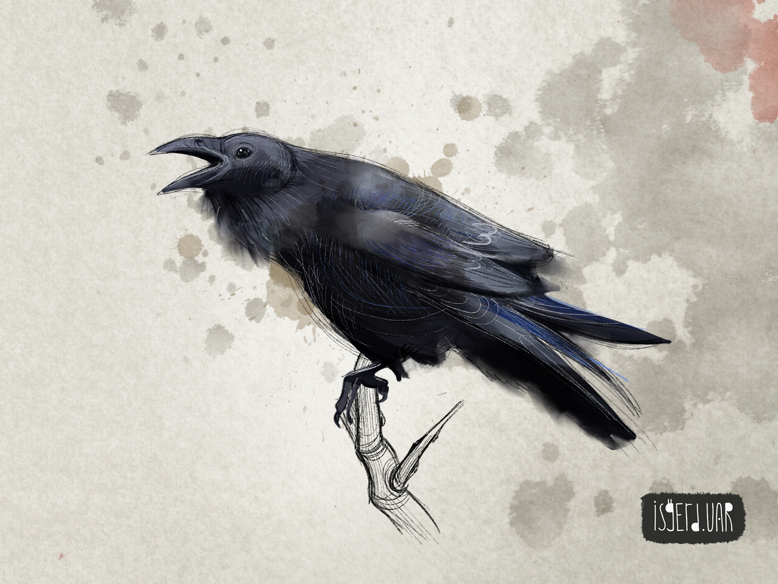 Raven Art designs, themes, templates and downloadable graphic