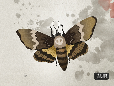 Butterfly one-meter head. Digital illustration.