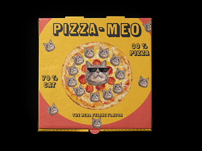 Pizza-Meo art cat design digitalart graphic graphicdesign graphics illustration mockup pizza poster design