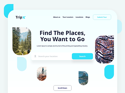 Tripx Trip Search UI