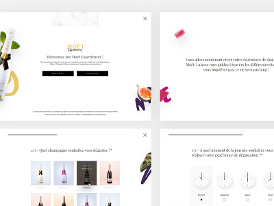 Moet Experiences step by step form desktop