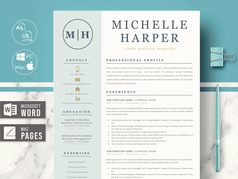 Professional & Modern Resume Template for Word & Pages  MICHELLE