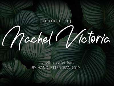 The Nachel Victoria Beautiful typeface font Free