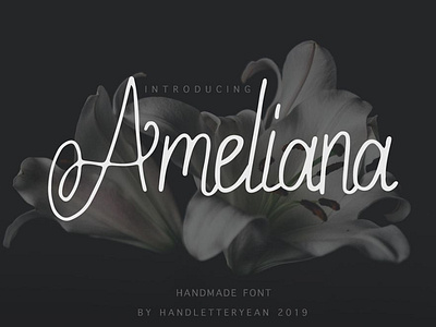 Ameliana Amazing handwritten font Free font freebies freefont typogaphy typography