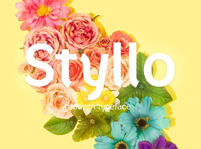 Styllo Stylish and unique font Free font freebies freefont typogaphy