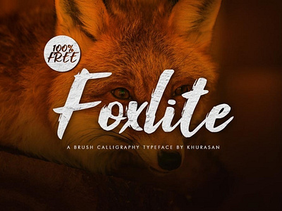 Foxlite Script awesome font Free font freebies freefont typogaphy