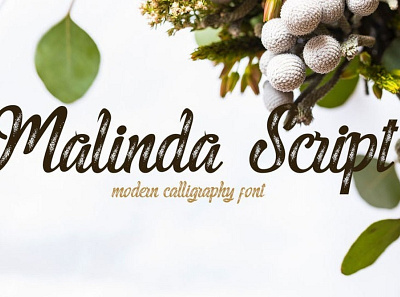 Malinda Modern calligraphy Font Free font freebies freefont typogaphy
