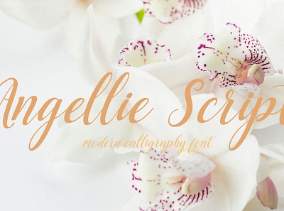 Angellie Modern feminine font Free font freebies freefont typogaphy
