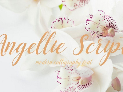 Angellie Modern feminine font Free