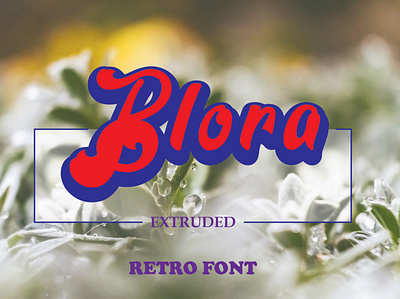 Blora Font Family blora extrude blora shadow