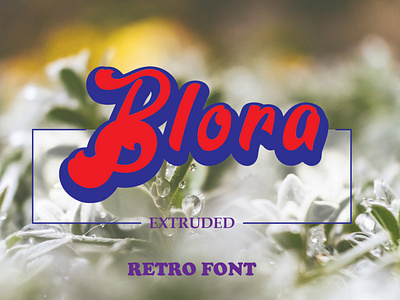 Blora Font Family