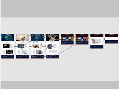 Animals - prototype design ui ux web