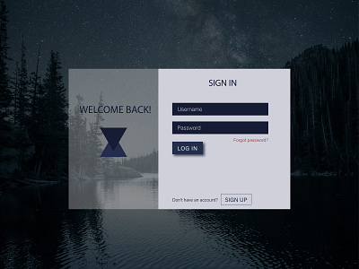 LogIn Form design ui ux website