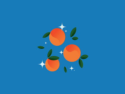 Apricots apricot design fruit graphic design illustration vector