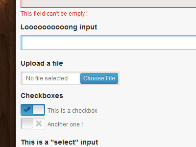 Form checkbox form input