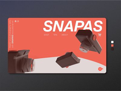 SNAPAS | Product Landing Page Concept