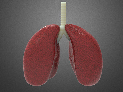 Lungs for an iOS App apena trainer cinema 4d lungs