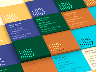 Branding/ packaging to Labi Hauz brand identity branding graphic design identity logo logotype package packaging visual identity