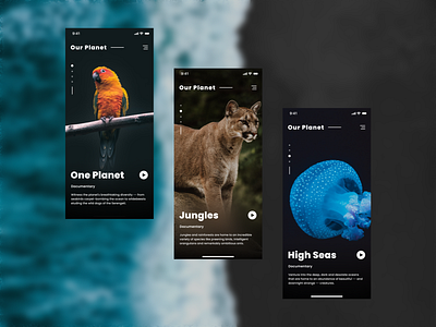 Our Planet App Design app appdesign appdesigner design ui ui ux ui design uiux uiux designer user experience design user interface userinterfacedesign ux uxdesign