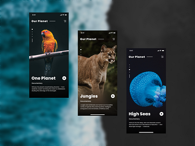 Our Planet App Design