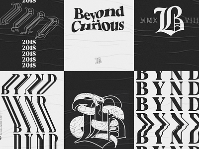 Beyond Curious | Posters beyond experiment illustration lettering poster typography warped