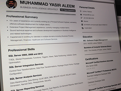 Resume - Business Intelligence Architect curriculum vitae cv cv template one page resume resume resume template