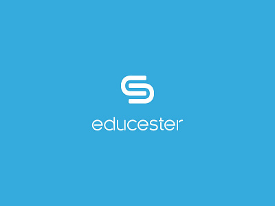 Logo Design Concept - Educester