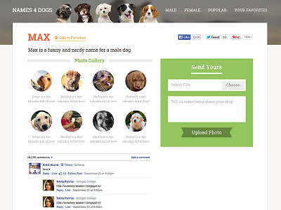 Names 4 Dogs - Product Design detailed page dogs homepage landing homepage landing page product definition product design product designer sub page theme web design website layout