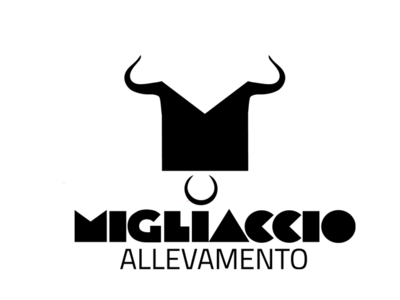 Migliaccio branding design logo vector