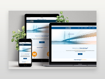 Claimsbridge Website responsive ui ux design ui design web website website design