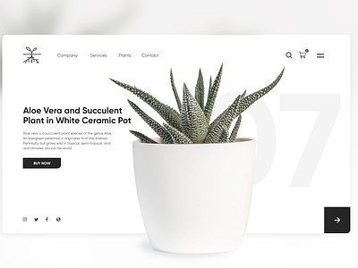 Plant Ceramic Pot Website Design Concept | Ruben Cespedes clean design clean ui daily inspiration design concept design leader minimalism minimalistic plant responsive ruben cespedes ui ux ui design uiux uiuxdesign ux designer visual design web web concept web design white design