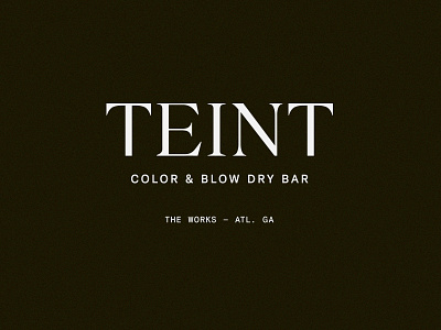 Teint — Color & Blow Dry Bar art direction brand identity branding design graphic design layout logo serif typography